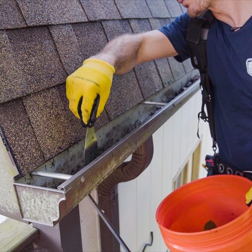 Gutter Services